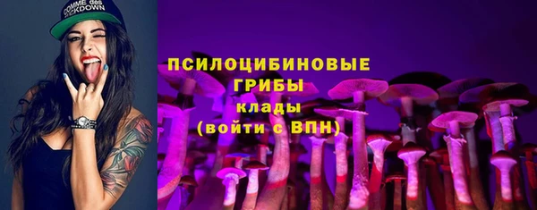 соль ск Алексеевка