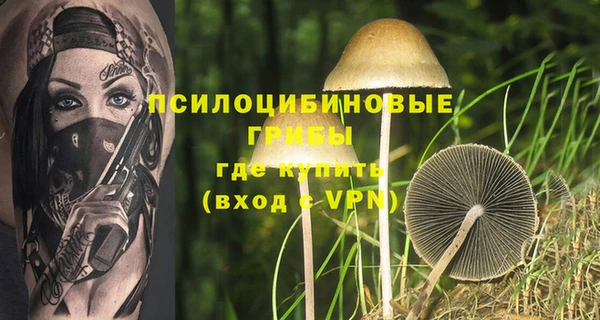MDMA Premium VHQ Новозыбков