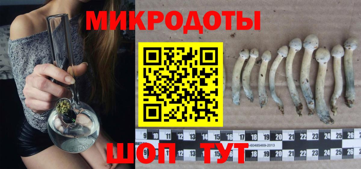 Псилоцибиновые грибы MAGIC MUSHROOMS  Вход с VPN  Котовск 